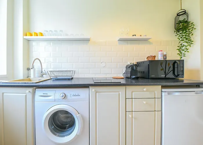 My Place Downtown * Κλουζ-Ναπόκα