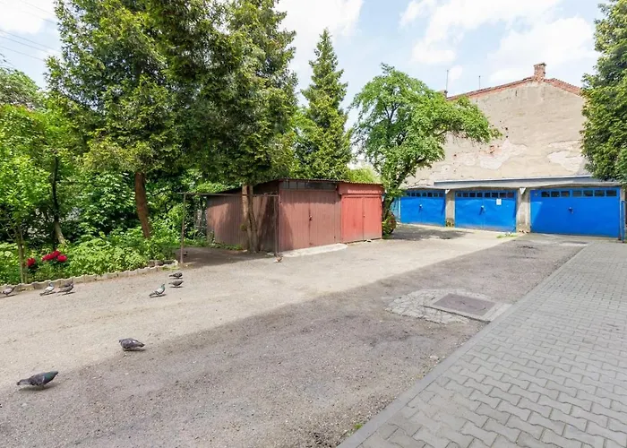 My Place Downtown * Клуж-Напока